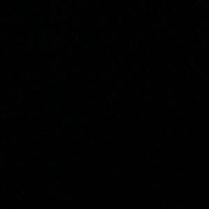 Meet your Posher, Ben